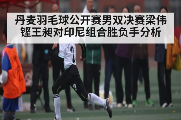 丹麦羽毛球公开赛男双决赛梁伟铿王昶对印尼组合胜负手分析